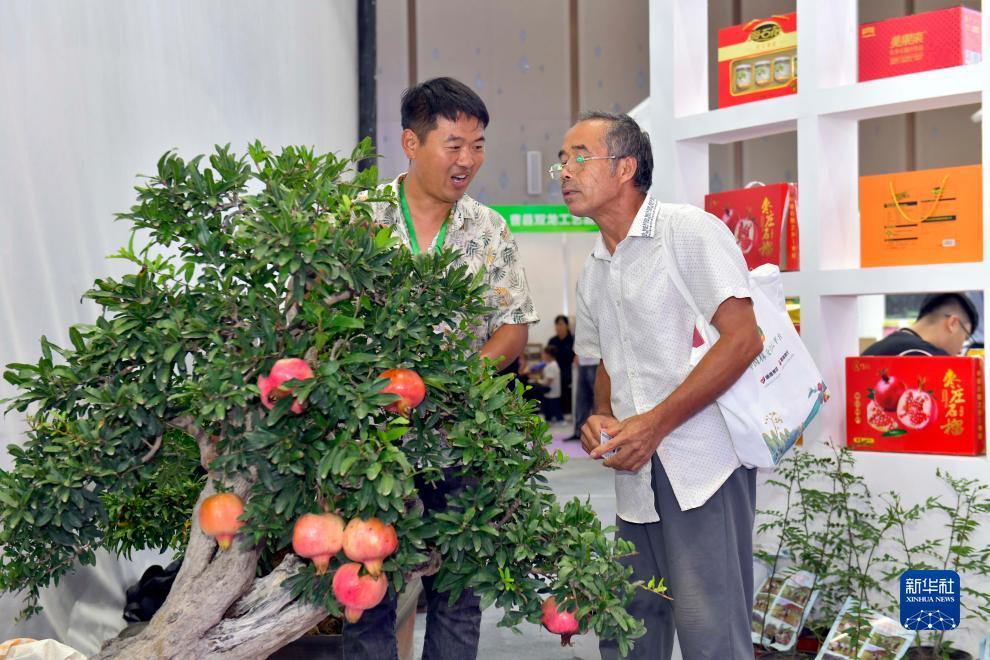 88平台登录界面
